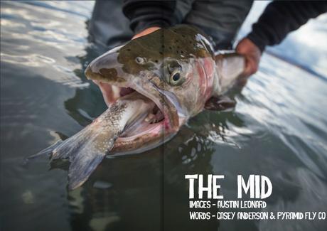 Revive Fly Fishing Journal – Hiver