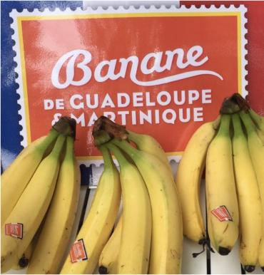 La filière de la banane antillaise ne fera pas campagne contre le bio