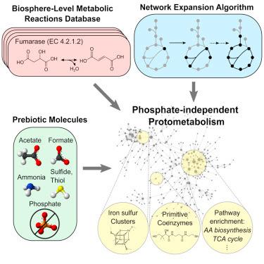 #cell #terre #soupeprimitive #métabolisme #phosphate Vestiges d’un métabolisme ancien sans Phosphate