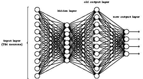 neural network