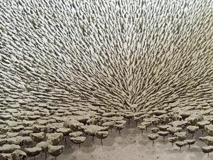 Domaine de Chaumont-sur-Loire Festival des Jardins 2017 à partir du 1er Avril 2017 Domaine de Chaumont-sur-Loire Festival des Jardins 2017 à partir du 1er Avril 2017