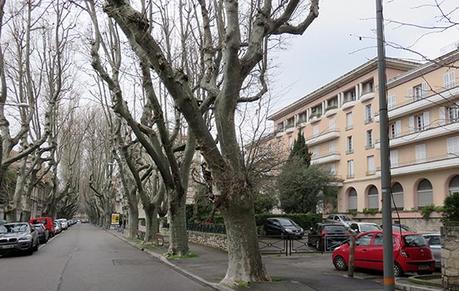 Nounant'un an après 22 balouard Raspail 3635833822.jpg