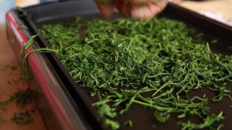 Les 13 spécialités culinaires de la préfecture de Nara à connaître et déguster impérativement ! Photo