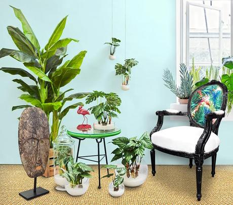 Urban Jungle : quand la déco se met au vert ! fauteuil de style Louis XVI dans une décoration Urban Jungle à l’esprit bohème