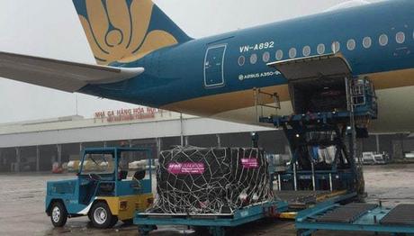 La Fondation Airbus et Vietnam Airlines livrent des appareils de dialyse rénale à l’hôpital de néphrologie de Hanoï