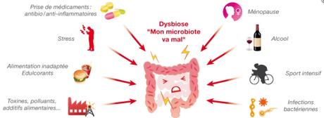 Le MICROBIOTE a son propre système de sécurité en cas de dysbiose – Molecular Systems Biology