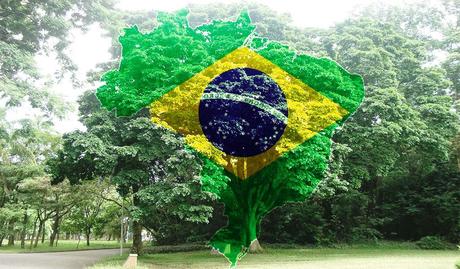 Brésil-Pau Brasil