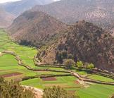 Maroc: quand la loi légitime la spoliation foncière