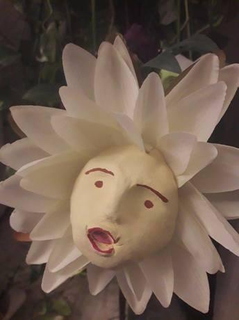 Dans le jardin Les fleurs