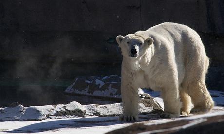 jamais se priver d'une bonne histoire jamais se priver d'une bonne histoire