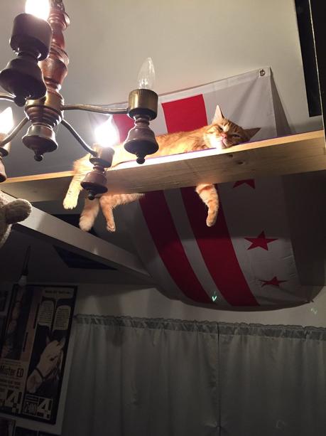 Son colocataire laissant tout traîner, il transforme son appart en galerie d'art Son colocataire laissant tout traîner, il transforme son appart en galerie d'art