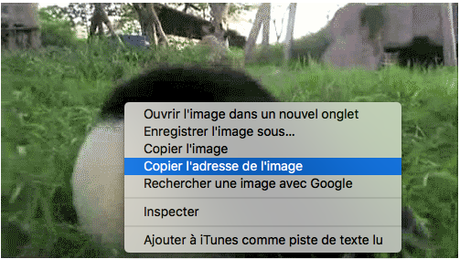 Comment publier un Gif sur Facebook? mettre une image GIF sur facebook