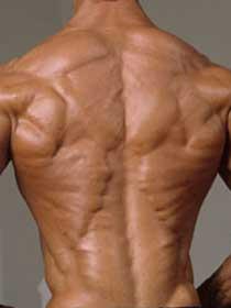 Le mal de dos et musculation mal de dos et musculation