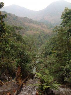 Se balancer en haut des chutes de Kuang Si, Laos Se balancer en haut des chutes de Kuang Si, Laos