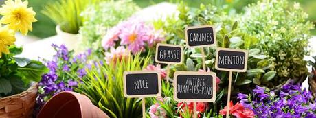 Découvrez les Jardins de la Côte d’Azur à l’occasion du 1er Festival* ! Découvrez les Jardins de la Côte d’Azur à l’occasion du 1er Festival* !