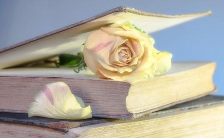 Dounia-Joy’s book club, récapitulatif de mars et thème du mois d’avril ! Dounia-Joy’s book club, récapitulatif de mars et thème du mois d’avril !