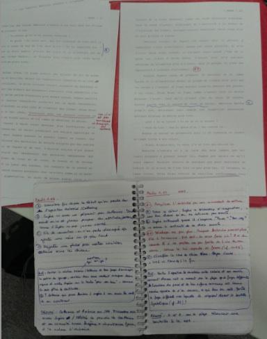 MANX : Journal de bord - Semaines 25&26 MANX : Journal de bord - Semaines 25&26