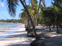 Voyages réalisés jusqu'à maintenant en amoureux ou en famille Voyages réalisés jusqu'à maintenant en amoureux ou en famille