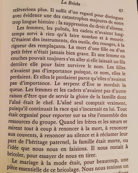 Petits bonheurs... (printemps 2017) Petits bonheurs... (printemps 2017)