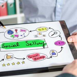 Les Français, Internet et les médias sociaux Le social selling : développer ses ventes grâce aux médias sociaux