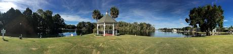#265 : Bon plan voyage / Nager avec des lamantins sauvages en Floride ! plantation on crystal river