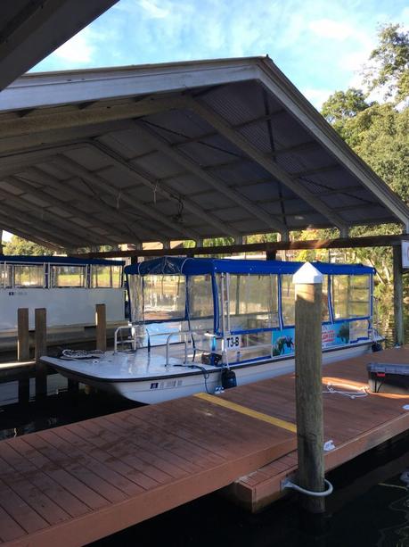 #265 : Bon plan voyage / Nager avec des lamantins sauvages en Floride ! plantation on crystal river
