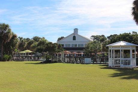 #265 : Bon plan voyage / Nager avec des lamantins sauvages en Floride ! plantation on crystal river