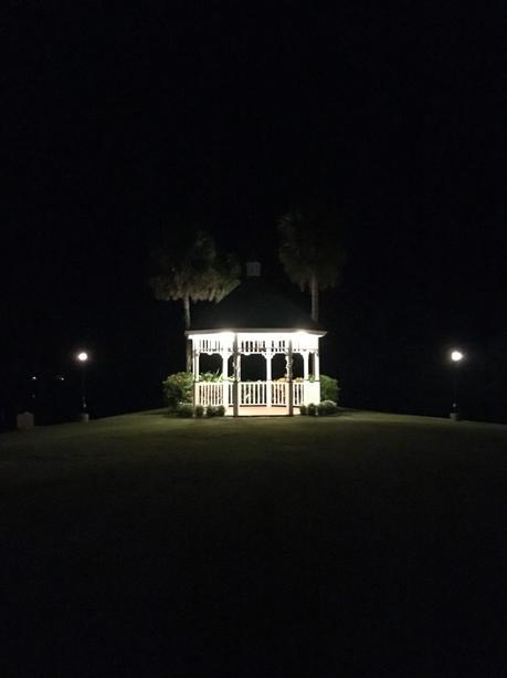#265 : Bon plan voyage / Nager avec des lamantins sauvages en Floride ! plantation on crystal river