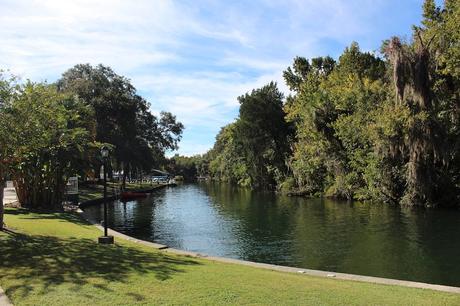 #265 : Bon plan voyage / Nager avec des lamantins sauvages en Floride ! plantation on crystal river