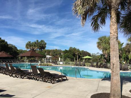 #265 : Bon plan voyage / Nager avec des lamantins sauvages en Floride ! plantation on crystal river