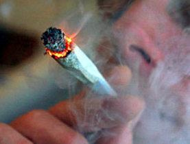 CANNABIS : DOMMAGES CONGENITAUX A L’ADN ET DANGER POUR LES GENERATIONS FUTURES ? CANNABIS : DOMMAGES CONGENITAUX A L’ADN ET DANGER POUR LES GENERATIONS FUTURES ?