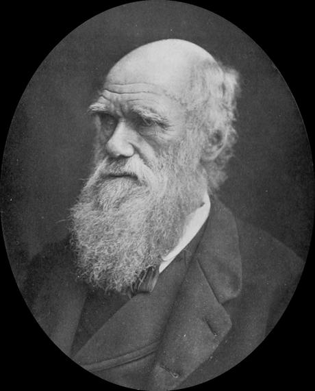 Le deep learning s'inspire de la théorie de l'évolution darwin.png