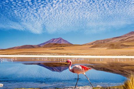 Désert d’Atacama: Comment bien le visiter?