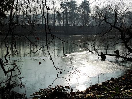 Matin d'hiver au Parc de la Tête d'Or