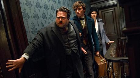 Ciné Club #38 : Les animaux fantastiques, Swiss Army Man et Don't breathe Ciné Club #38 : Les animaux fantastiques, Swiss Army Man et Don't breathe