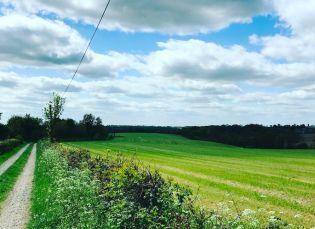 Randonnée autour de Champeaux dans les Deux-Sèvres : le circuit de Mélusine Randonnée autour de Champeaux dans les Deux-Sèvres : le circuit de Mélusine