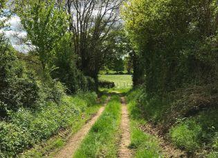 Randonnée autour de Champeaux dans les Deux-Sèvres : le circuit de Mélusine Randonnée autour de Champeaux dans les Deux-Sèvres : le circuit de Mélusine