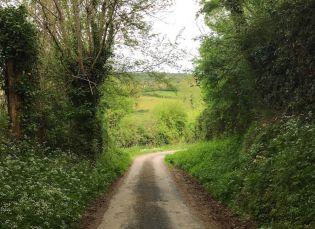 Randonnée autour de Champeaux dans les Deux-Sèvres : le circuit de Mélusine Randonnée autour de Champeaux dans les Deux-Sèvres : le circuit de Mélusine