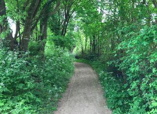 Randonnée autour de Champeaux dans les Deux-Sèvres : le circuit de Mélusine Randonnée autour de Champeaux dans les Deux-Sèvres : le circuit de Mélusine