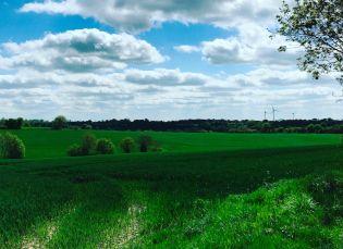 Randonnée autour de Champeaux dans les Deux-Sèvres : le circuit de Mélusine Randonnée autour de Champeaux dans les Deux-Sèvres : le circuit de Mélusine