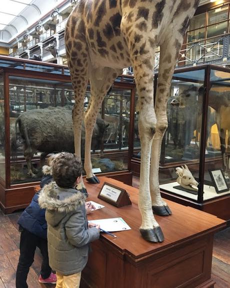 Dublin avec les enfants Dublin avec les enfants