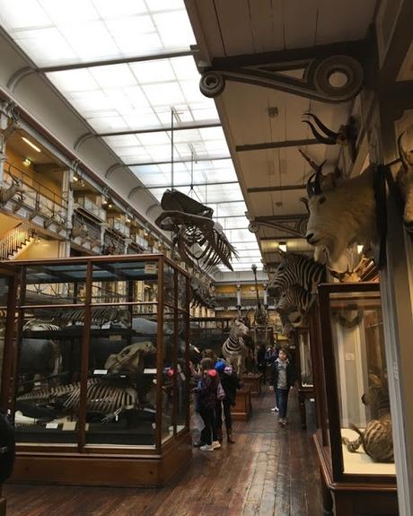 Dublin avec les enfants Dublin avec les enfants