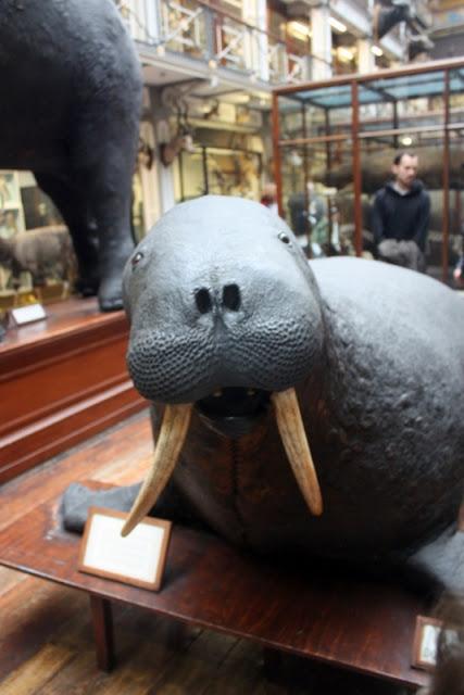 Dublin avec les enfants Dublin avec les enfants