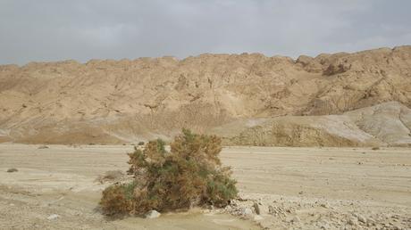 Jérusalem, la mer morte et les joyaux d’Israël Jérusalem, la mer morte et les joyaux d’Israël