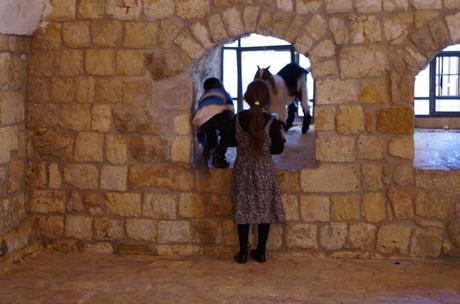 Jérusalem, la mer morte et les joyaux d’Israël Jérusalem, la mer morte et les joyaux d’Israël