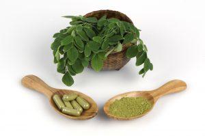La plante Moringa Oleifera : Bienfaits et vertus, où acheter au meilleur prix