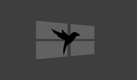 Plus de vie privée sur Windows avec Blackbird