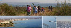 Roadbook : Une 4° visite du Languedoc La lagune de Thau