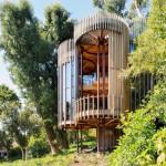 ARCHITECTURE : Malan Vorster’s treehouse