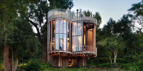 ARCHITECTURE : Malan Vorster’s treehouse